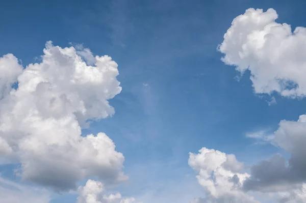 Windows vs Linux Which Operating System Should You Choose?